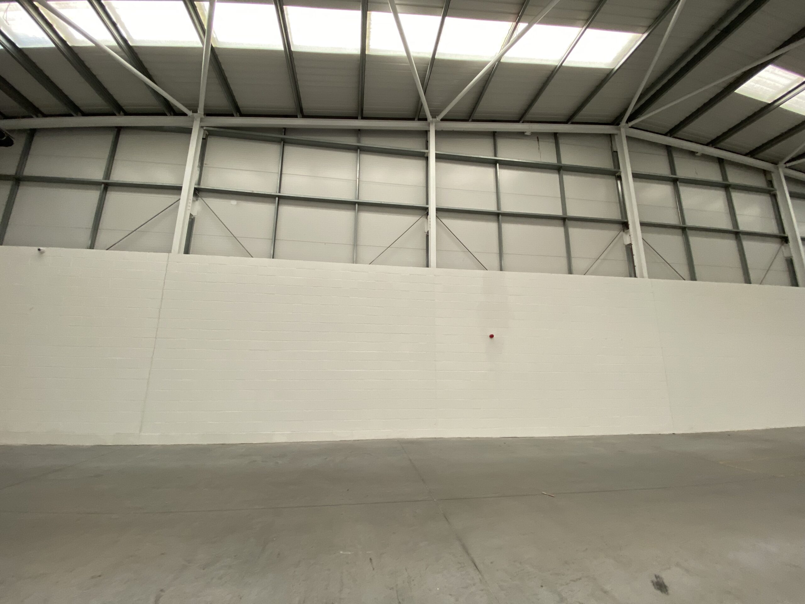 Sheffield student accommodation — damp remediation and painting